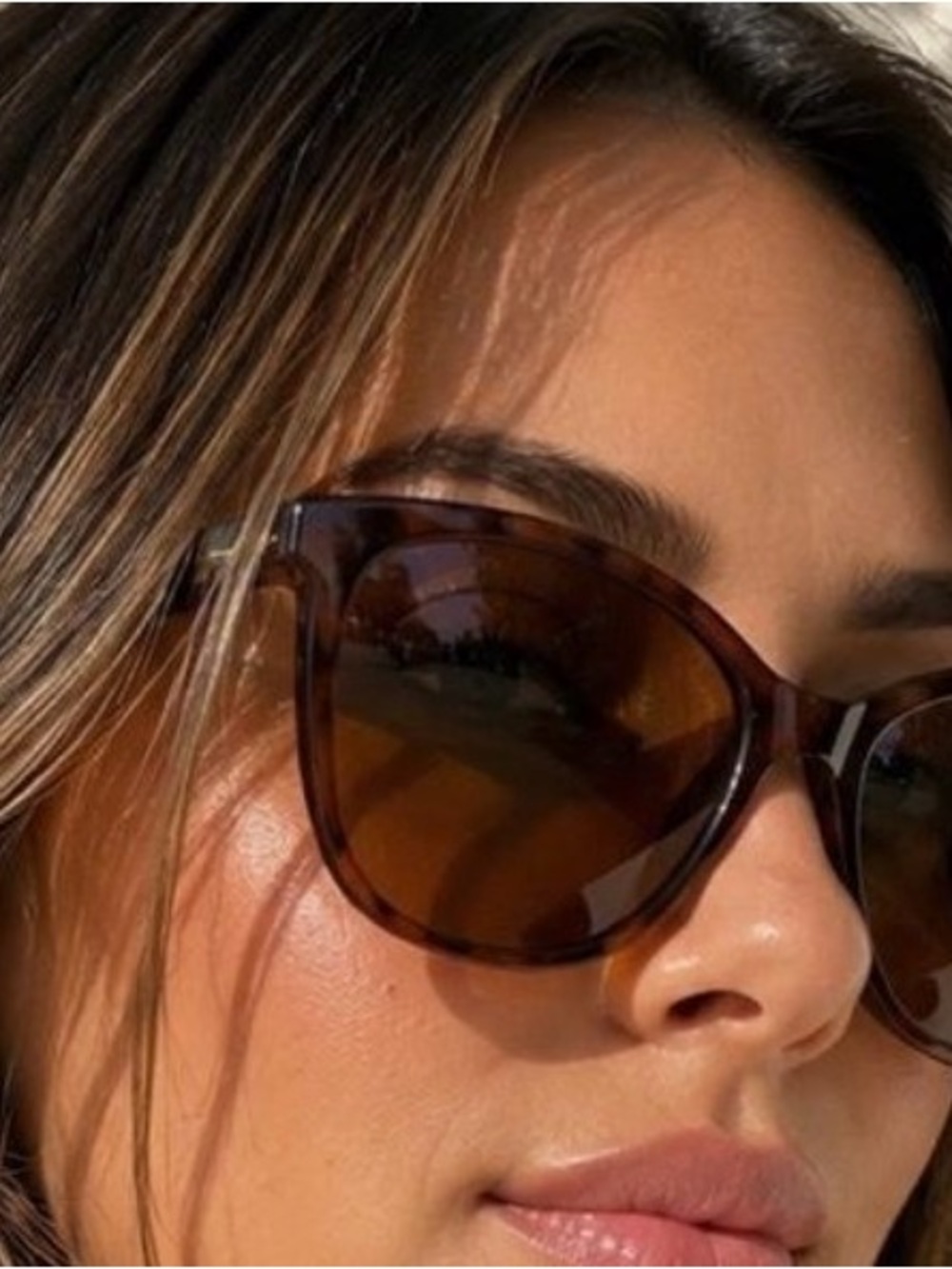Longchamp Tortoiseshell Brown Cat-Eye Sunglasses for Women